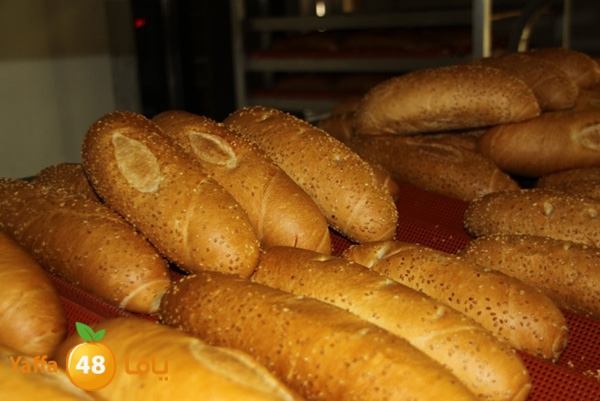 k7eelkhobzn455 (20).JPG